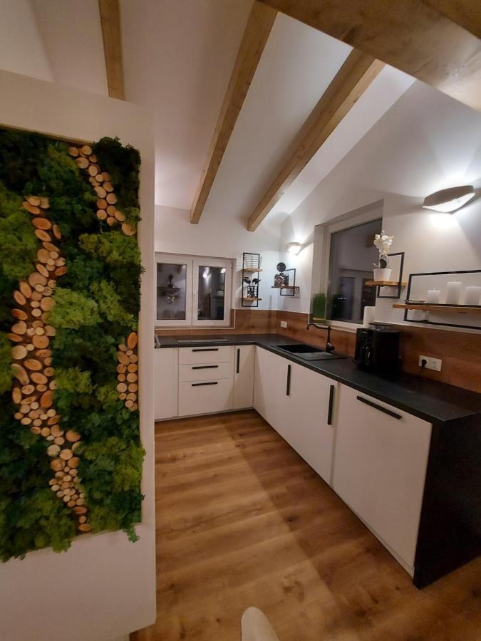 Auszeit Steiraland Penthouse 9 Mit Grossen Balkon Und Parkplatz Apartment Леобен Екстериор снимка